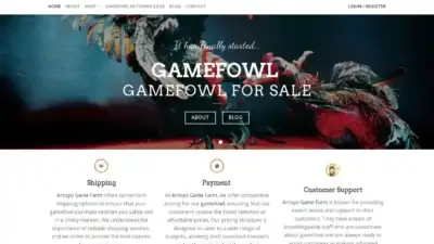 Screenshot of Non-Delivery scam website Arroyogamefarms.com