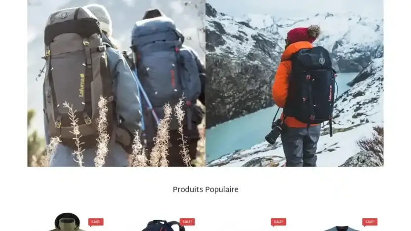 Screenshot of Non-Delivery scam website Asculbertson.com