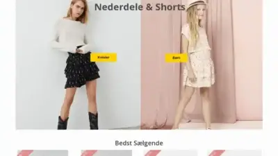 Screenshot of Non-Delivery scam website Astakyhn.com