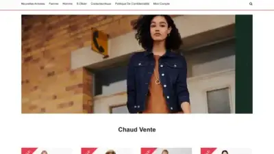Screenshot of Non-Delivery scam website Astridethiry.com