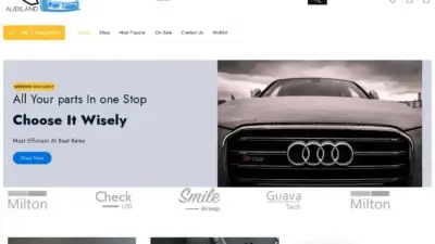 Screenshot of Non-Delivery scam website Audisparepartsandaccessories.com