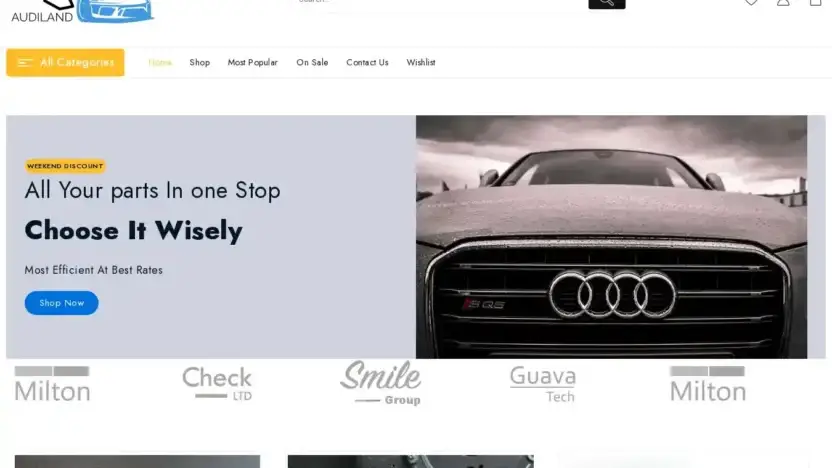 Screenshot of Non-Delivery scam website Audisparepartsandaccessories.com