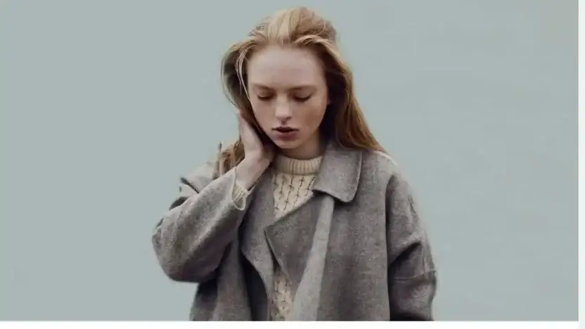 Screenshot of Non-Delivery scam website Auhomedecor.shop