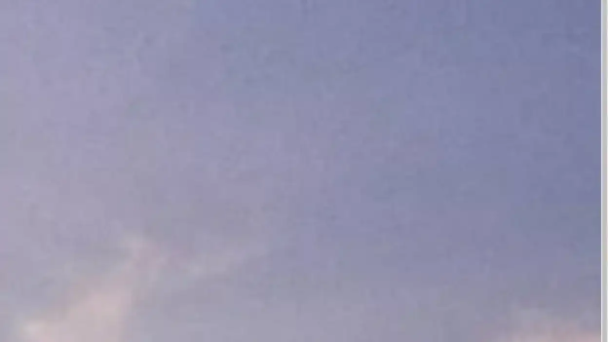 Screenshot of Container scam website Australianexpresslogistics.com