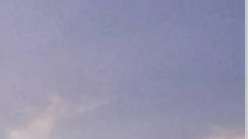 Screenshot of Container scam website Australianexpresslogistics.com