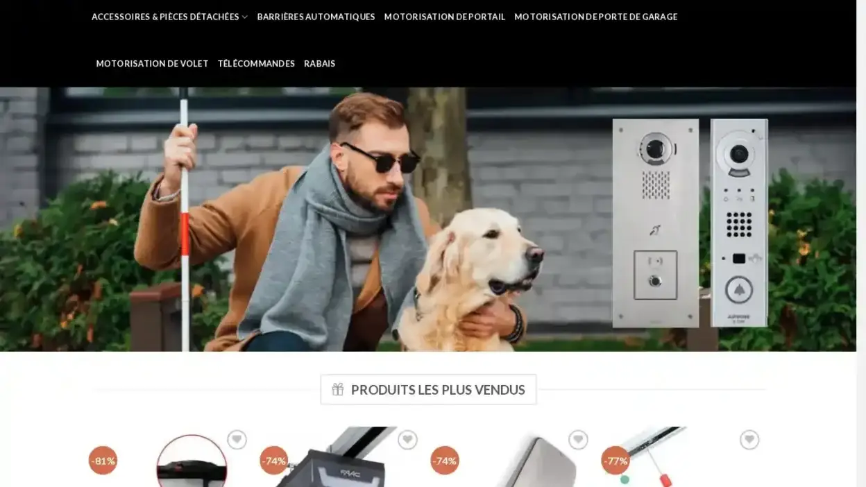 Screenshot of Non-Delivery scam website Automatismesolde.com