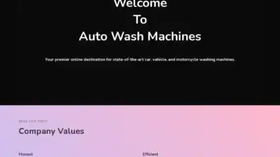 Screenshot of Non-Delivery scam website Autowashmachines.com