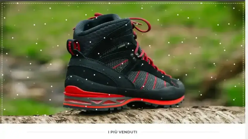 Screenshot of Non-Delivery scam website Avventuranatura.com