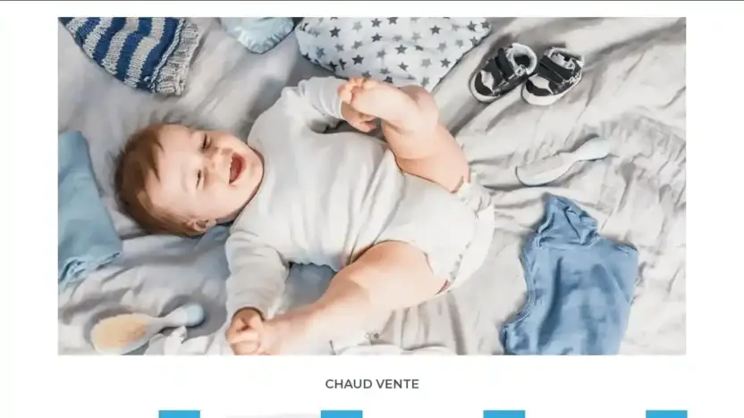 Screenshot of Non-Delivery scam website Babiesandbriefcases.com