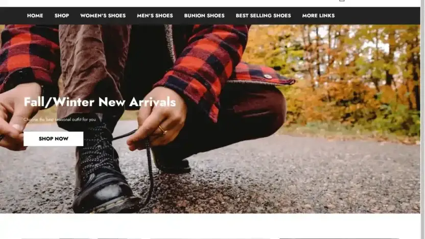 Screenshot of Non-Delivery scam website Backciy.com