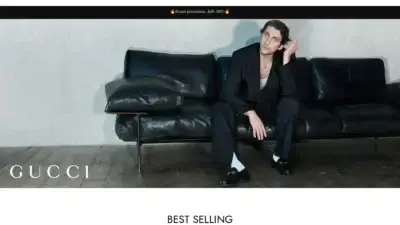 Screenshot of Non-Delivery scam website Bagsautumnsale.com