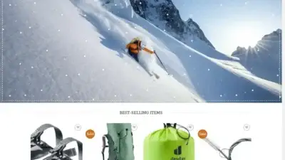 Screenshot of Non-Delivery scam website Bagsdeuter.com