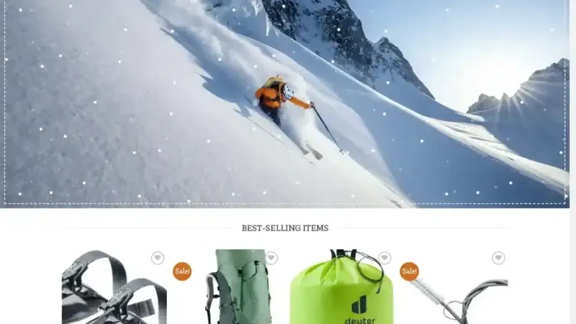 Screenshot of Non-Delivery scam website Bagsdeuter.com