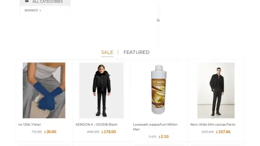 Screenshot of Non-Delivery scam website Bargain-s.shop