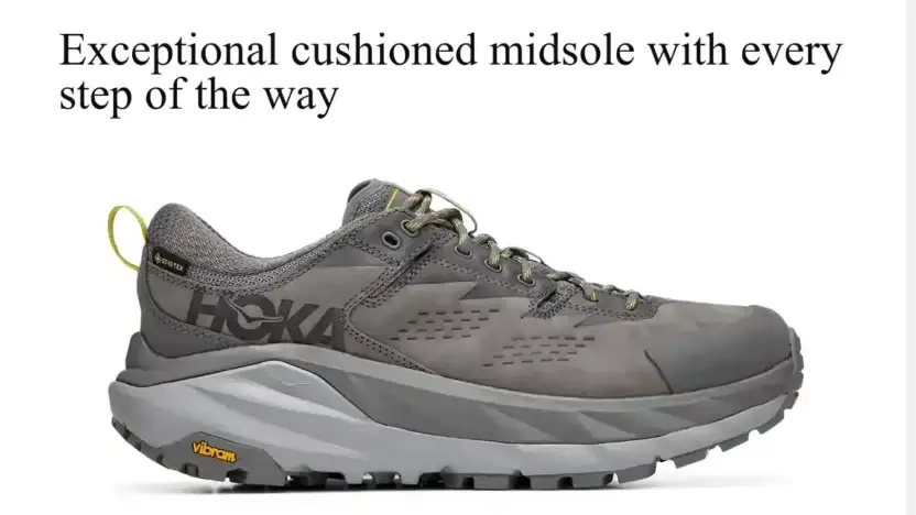 Screenshot of Non-Delivery scam website Bargainpricehoka.com