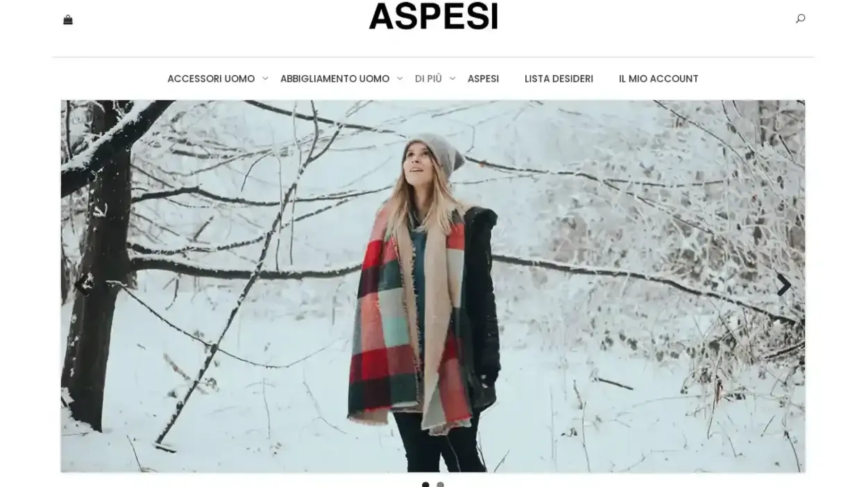 Screenshot of Non-Delivery scam website Baronilorena.com