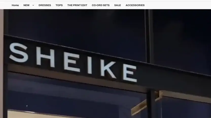 Screenshot of Non-Delivery scam website Bashlan.shop