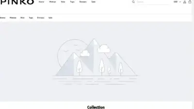 Screenshot of Non-Delivery scam website Bassonlineus.shop