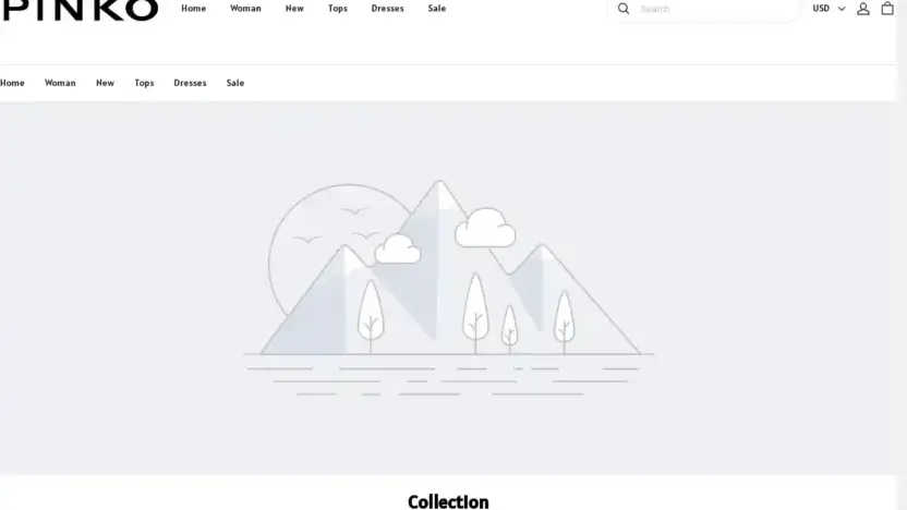 Screenshot of Non-Delivery scam website Bassonlineus.shop