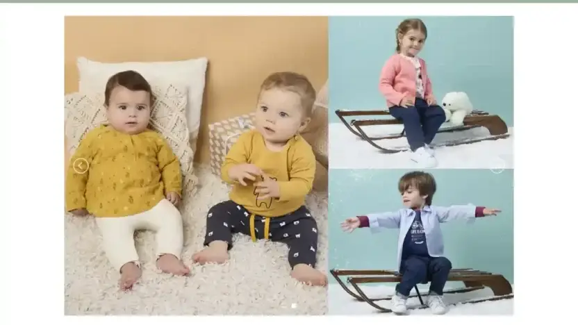 Screenshot of Non-Delivery scam website Bebeptitbisou.com