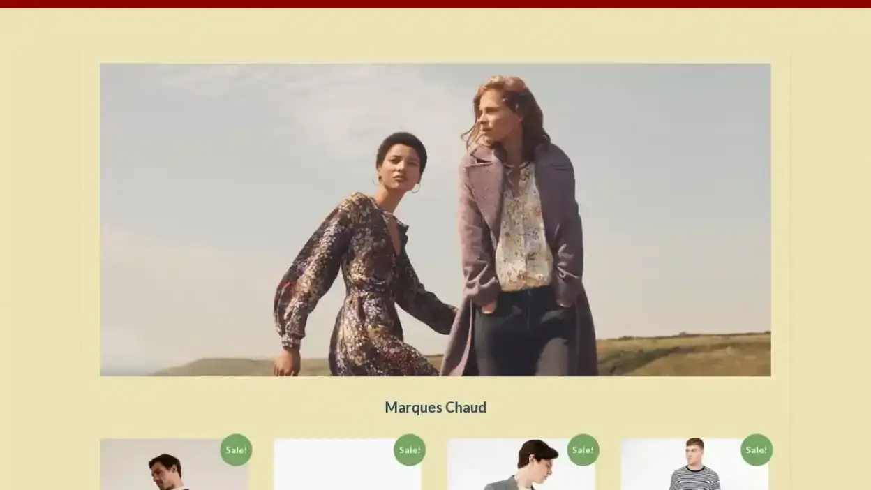 Screenshot of Non-Delivery scam website Beghinilaura.com