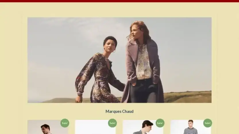 Screenshot of Non-Delivery scam website Beghinilaura.com