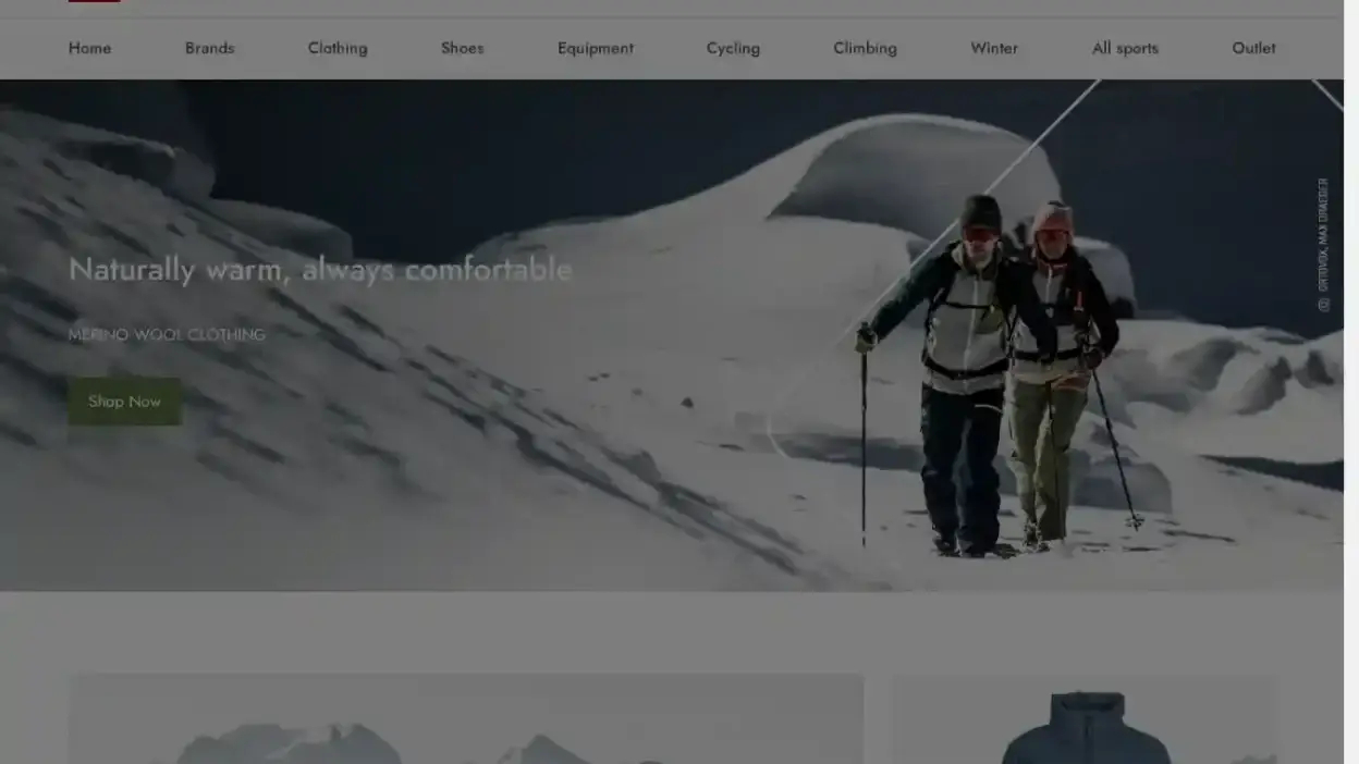 Screenshot of Non-Delivery scam website Bergfreunnbe.com