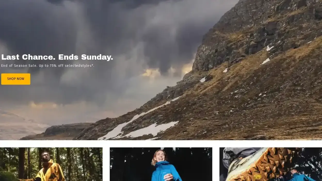 Screenshot of Non-Delivery scam website Berghausale.com