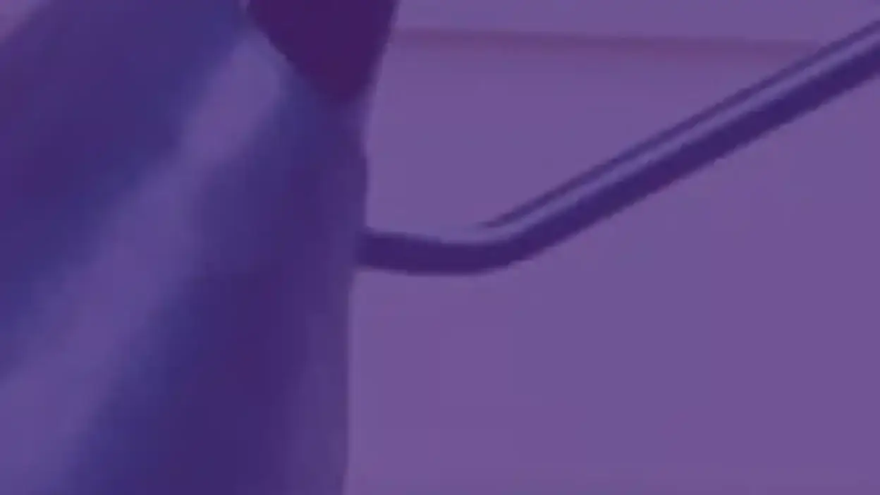 Screenshot of Non-Delivery scam website Bernashhomes.com