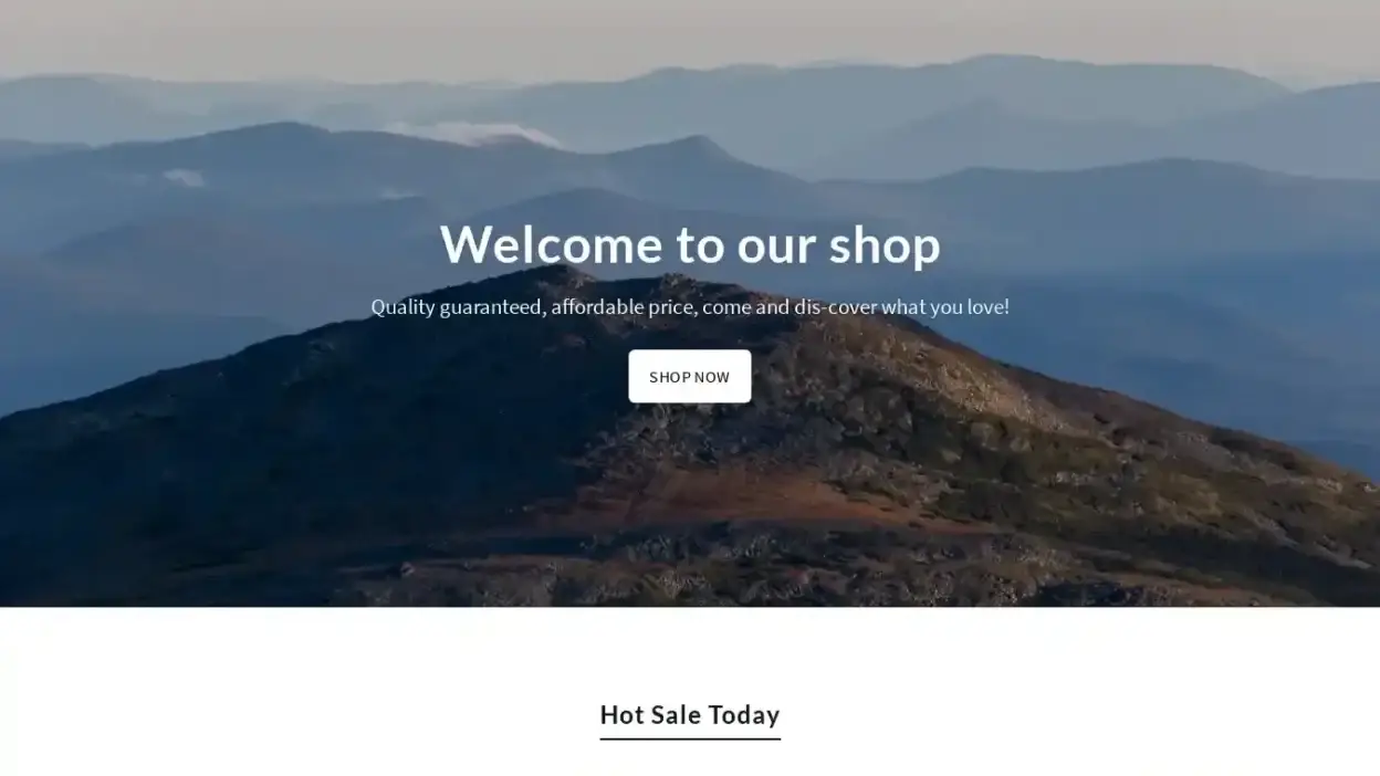 Screenshot of Non-Delivery scam website Beroys.shop