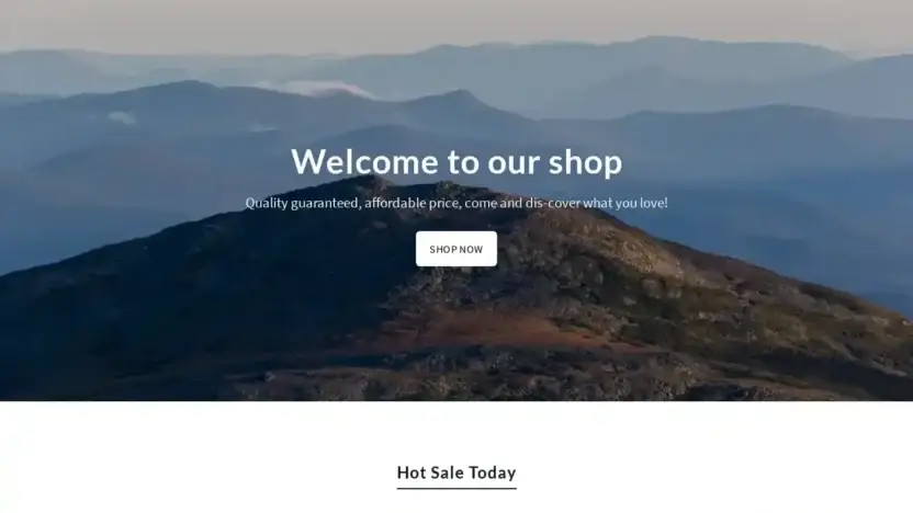 Screenshot of Non-Delivery scam website Beroys.shop