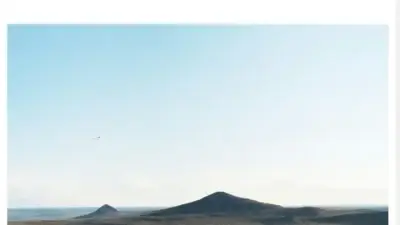 Screenshot of Non-Delivery scam website Bestcarparty.com