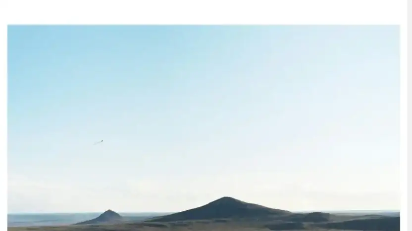 Screenshot of Non-Delivery scam website Bestcarparty.com