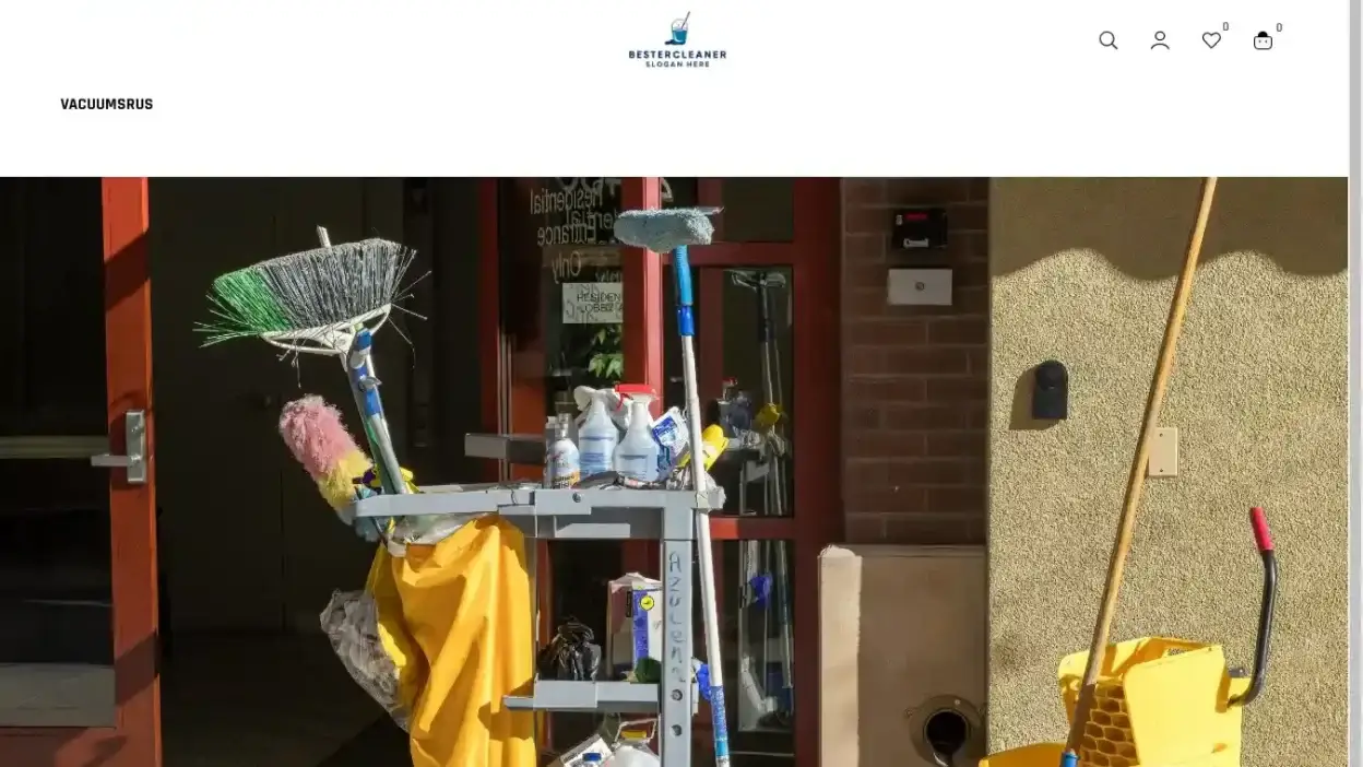 Screenshot of Non-Delivery scam website Bestercleaner.com