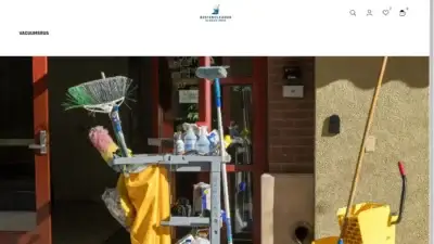 Screenshot of Non-Delivery scam website Bestercleaner.com