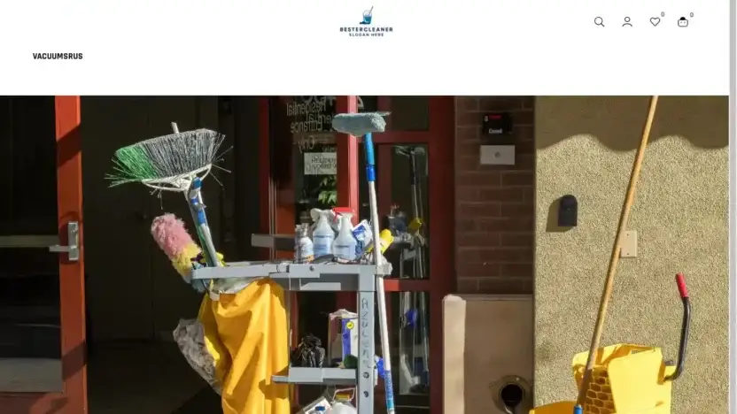 Screenshot of Non-Delivery scam website Bestercleaner.com