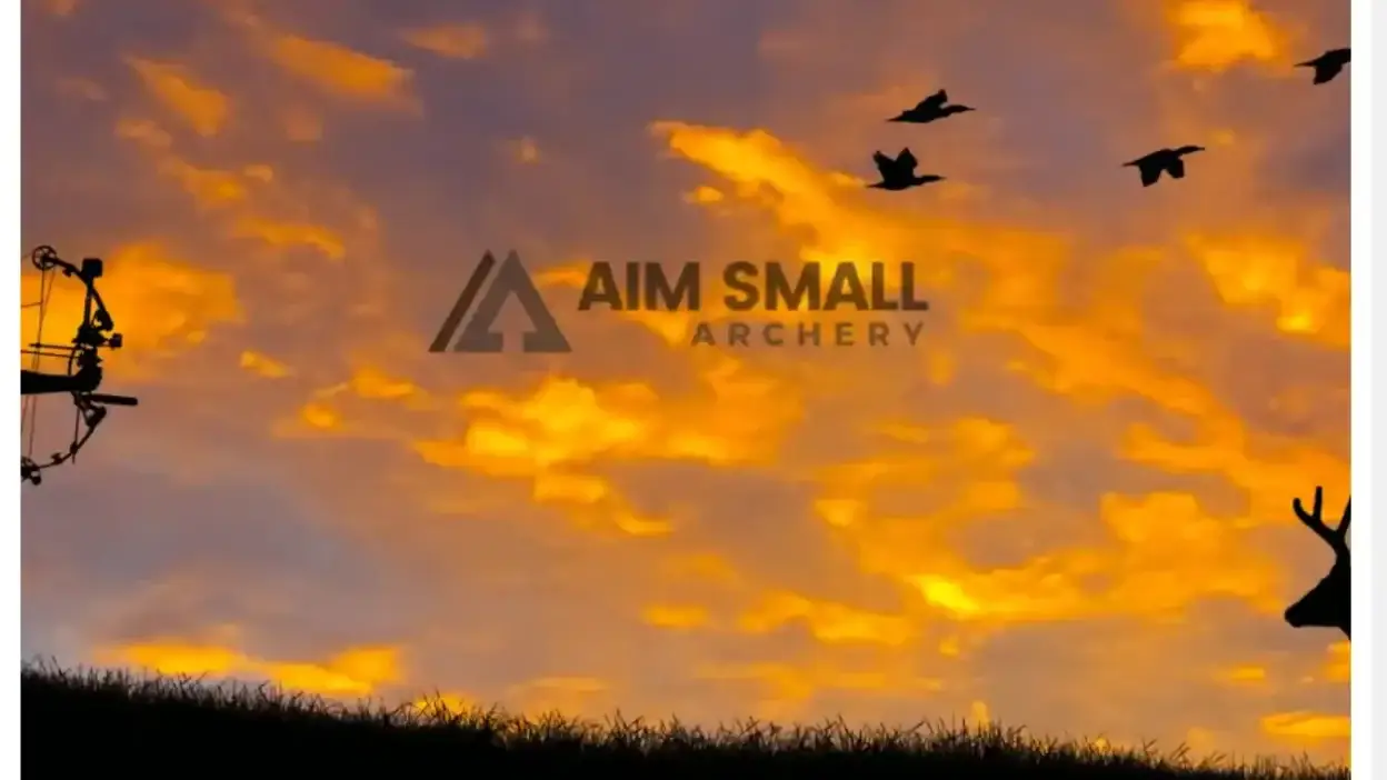 Screenshot of Non-Delivery scam website Besthunterssuperstore.com