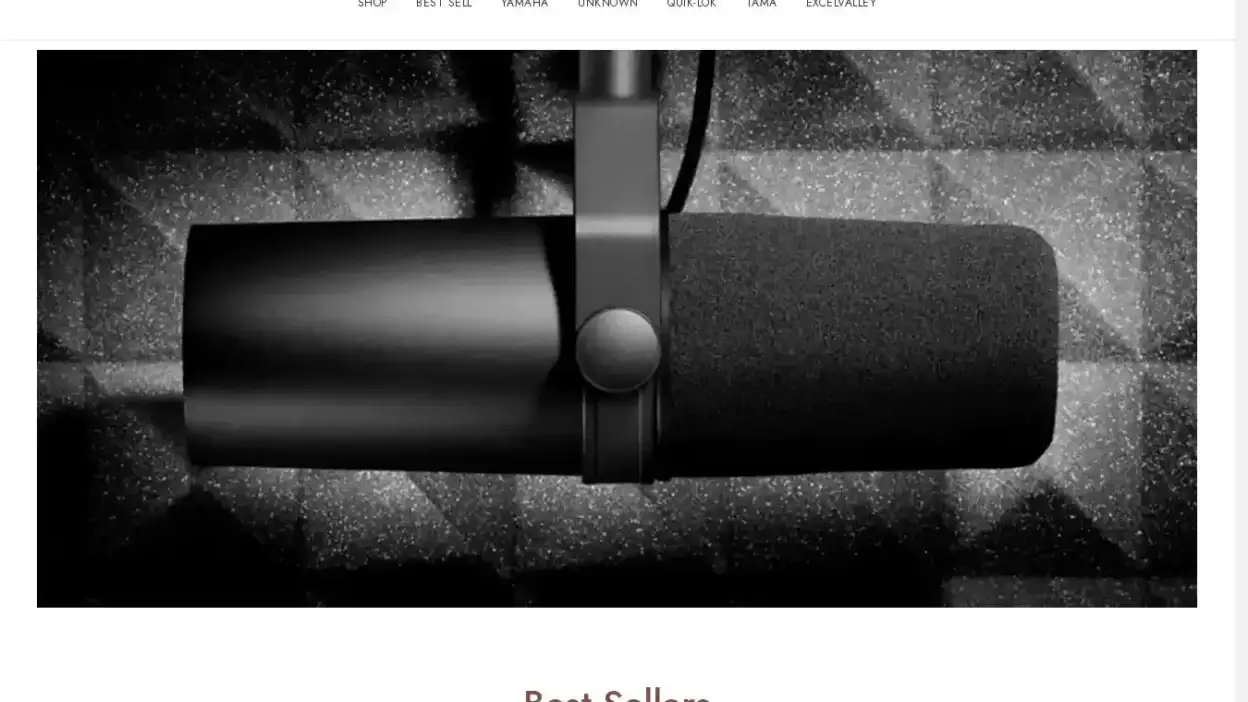 Screenshot of Non-Delivery scam website Bestmusiccompanion.com