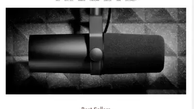 Screenshot of Non-Delivery scam website Bestmusiccompanion.com