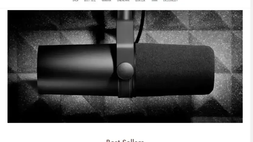 Screenshot of Non-Delivery scam website Bestmusiccompanion.com