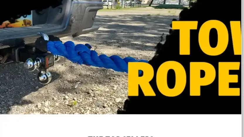 Screenshot of Non-Delivery scam website Bestsellgrocery.com