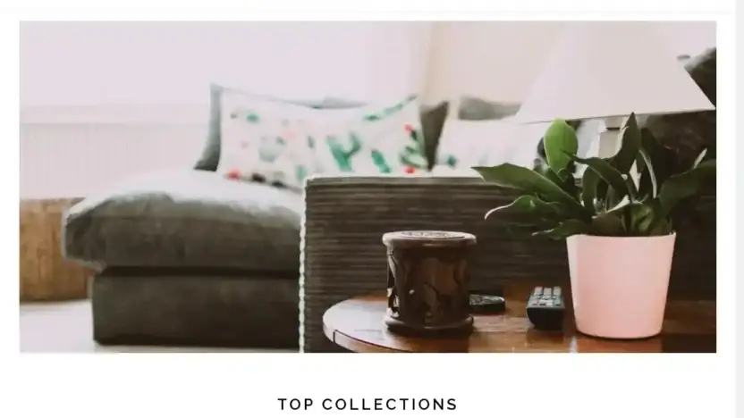 Screenshot of Non-Delivery scam website Bestushomesupply.com