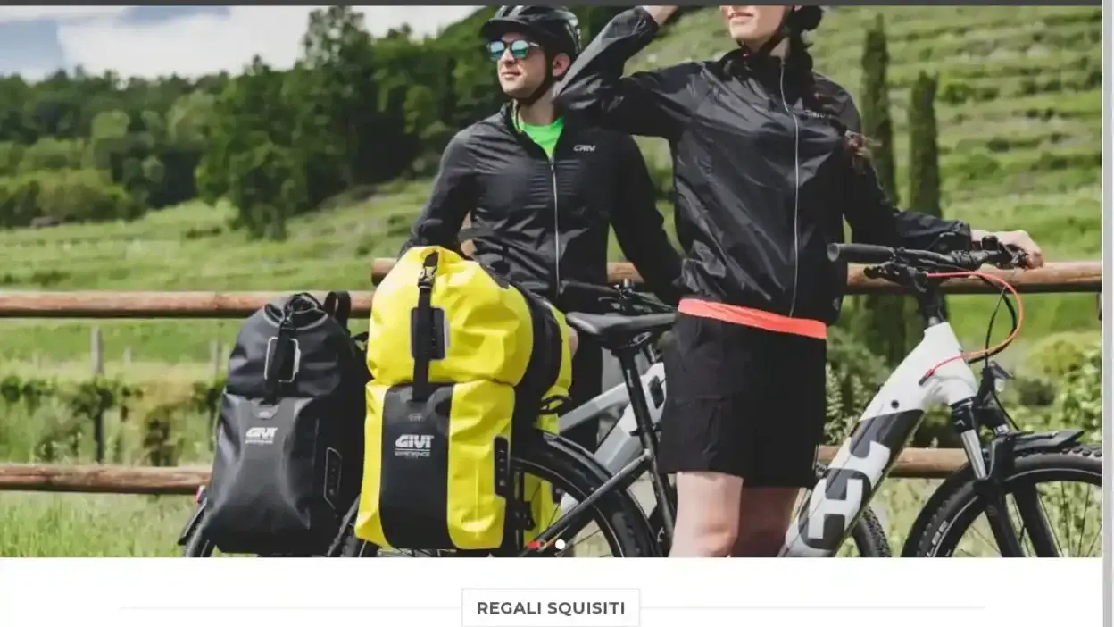 Screenshot of Non-Delivery scam website Biciborse.com