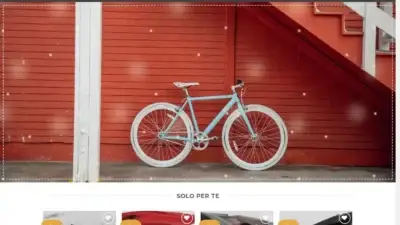 Screenshot of Non-Delivery scam website Biciit.com