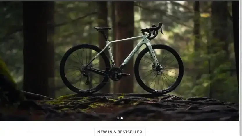 Screenshot of Non-Delivery scam website Bicimanutenzione.com