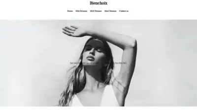 Screenshot of Non-Delivery scam website Bienchoix.fr