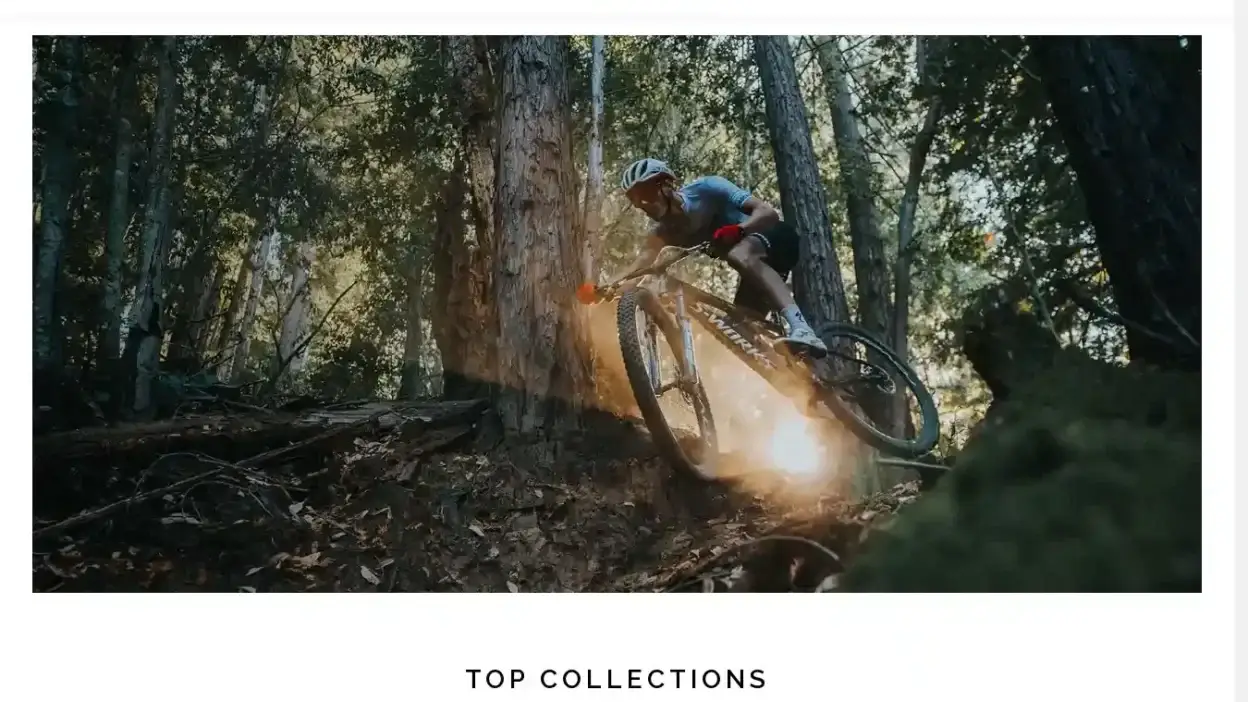 Screenshot of Non-Delivery scam website Bikesbertsfitness.com