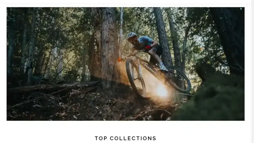 Screenshot of Non-Delivery scam website Bikesbertsfitness.com