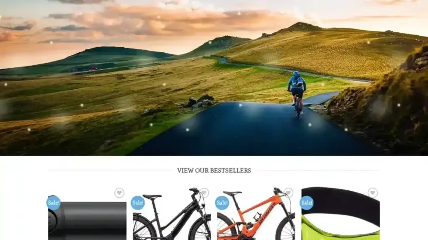 Screenshot of Sport scam website Bikeusover.com