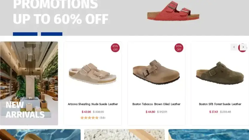 Screenshot of Non-Delivery scam website Birkenstockshoot.com